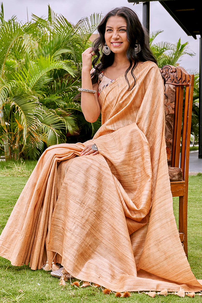 Fashionista (Saree)