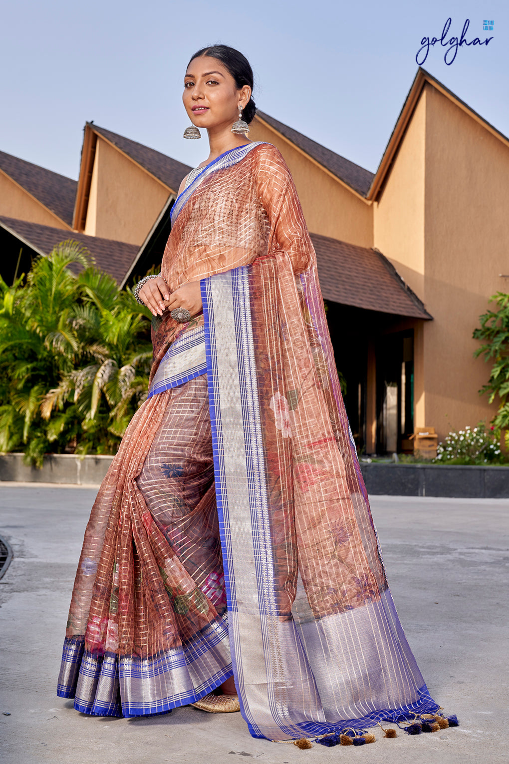 Ravishing Lit (Saree)