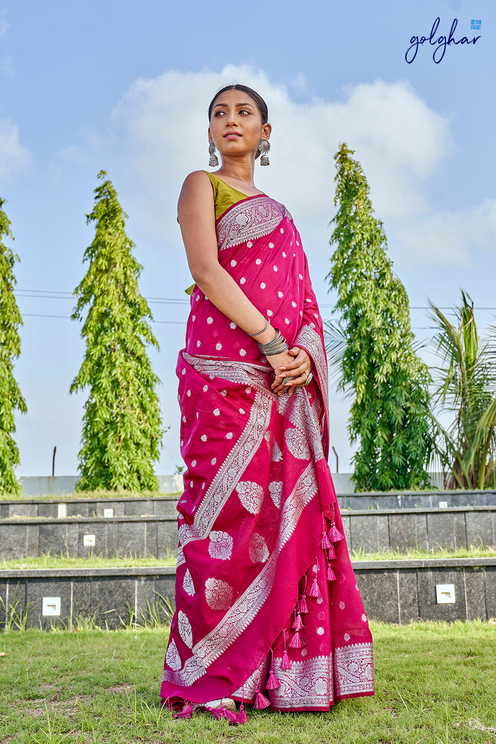 Star Cluster (Saree)