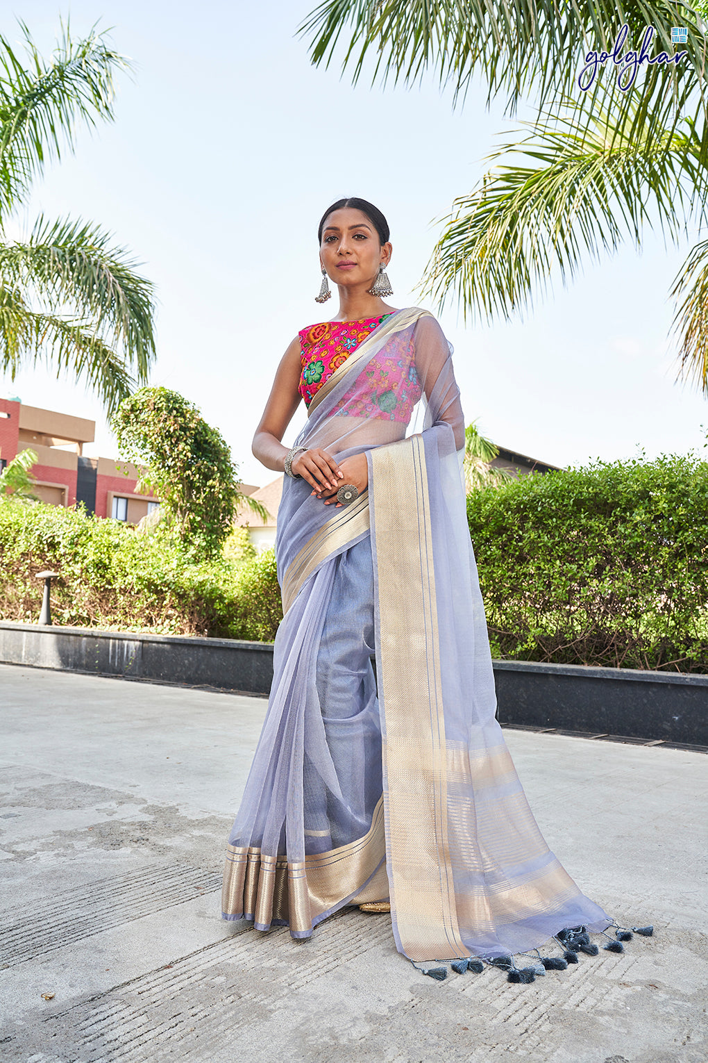 Ashy Ash (Saree)