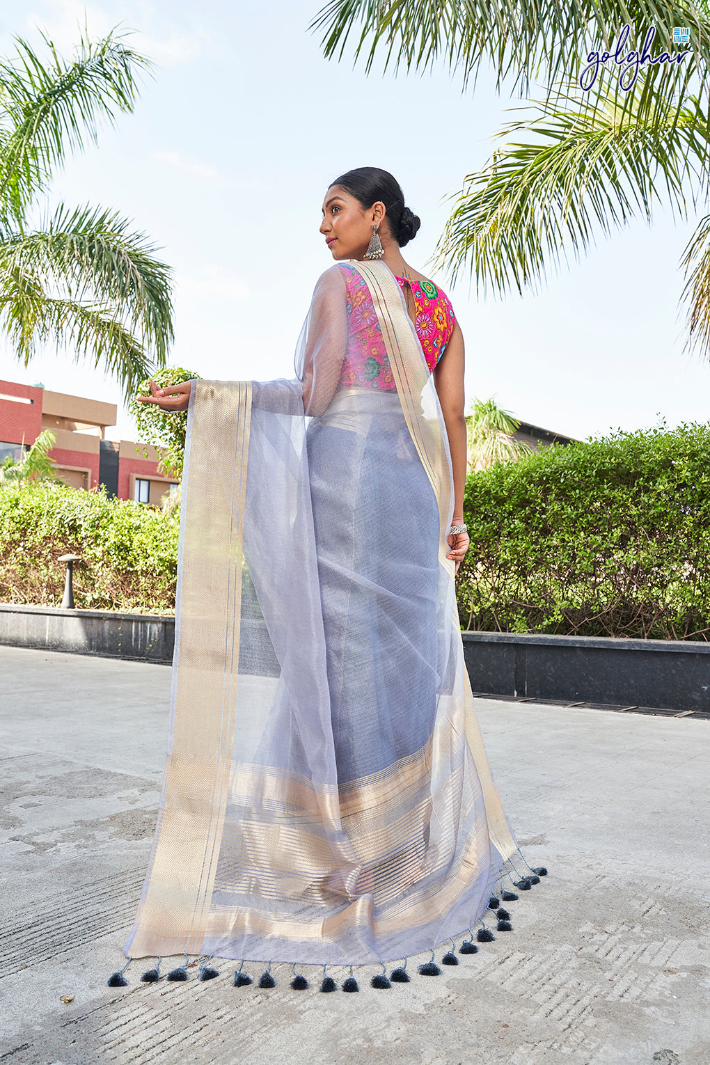 Ashy Ash (Saree)